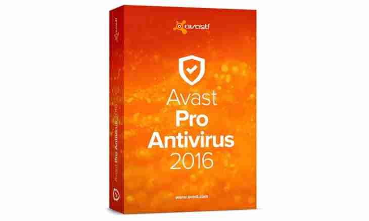 How to download a free antivirus of Avast