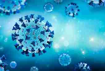 How to find and cure the website of viruses