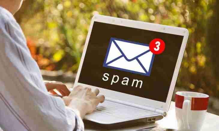 How to clean mail from spam