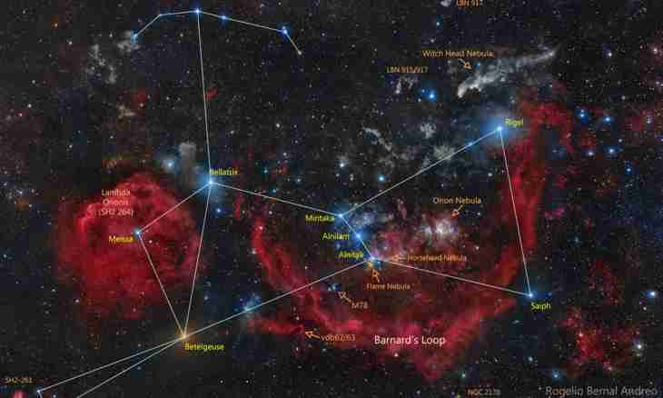 Where there is the star Orion system