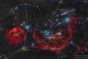 Where there is the star Orion system