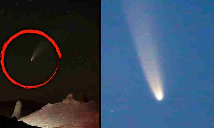 How to distinguish a comet without tail from a usual fog
