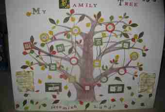 What is the family tree