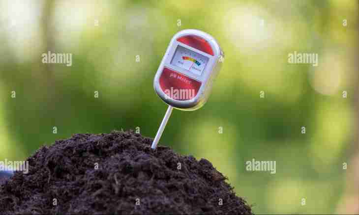 How to measure acidity of the soil