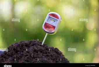 How to measure acidity of the soil