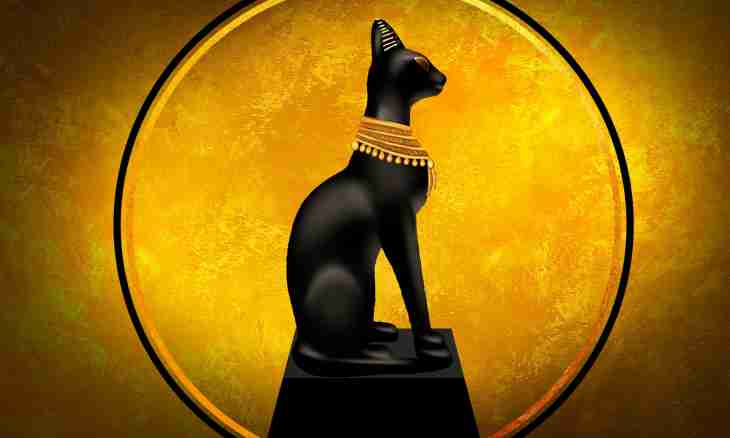 The cat in Egypt was considered as a symbol of what