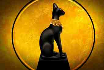 The cat in Egypt was considered as a symbol of what