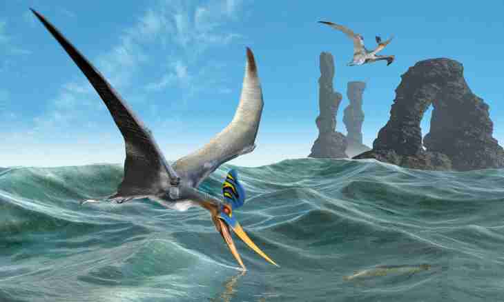 What would be if pterosaurs survived?