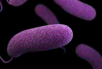 What is pathogenic microflora
