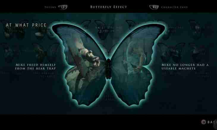 In what Butterfly Effect essence