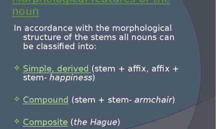 What is morphological features