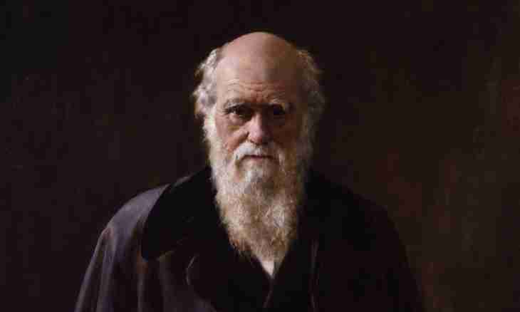 What was opened by Charles Darwin