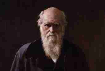 What was opened by Charles Darwin