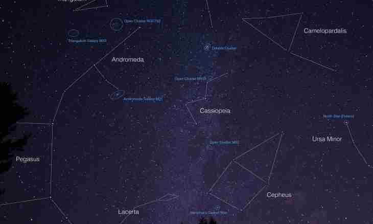 In what constellation there is a pole star