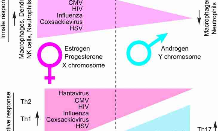 Biological features of hormone 17-oh of progesterone