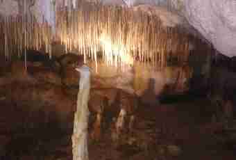 What the stalactite differs from stalagmite in