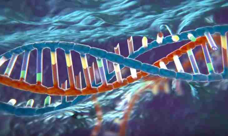How to solve problems of genetics