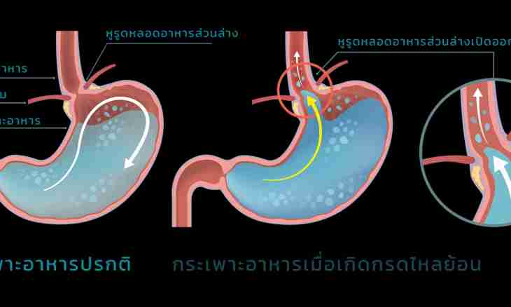 What enzymes are in gastric juice