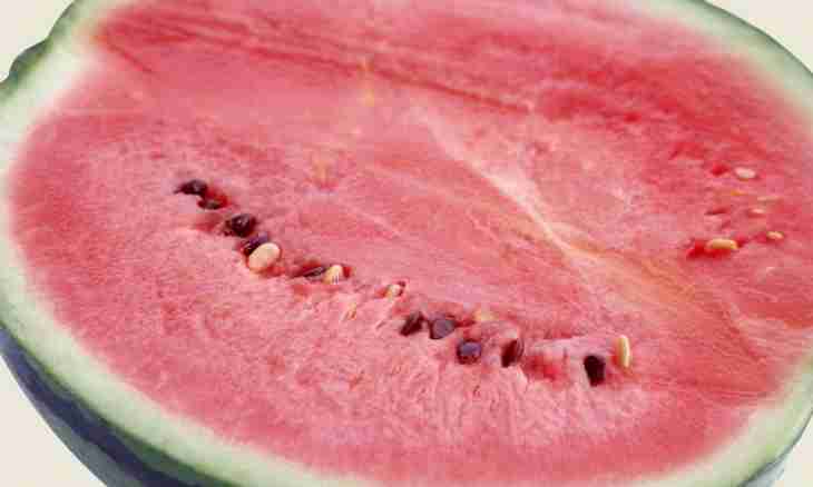 Why watermelon berry, and the melon is not present