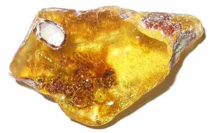 As amber is formed