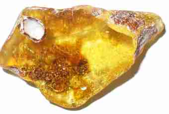 As amber is formed