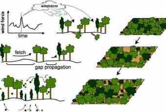 What is dynamics of population in modern ecology