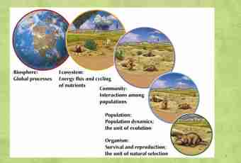 What is age structure of population in modern ecology