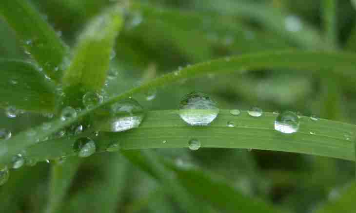 Why dew appears in the morning
