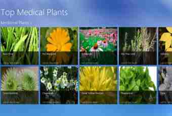 What vital forms of plants