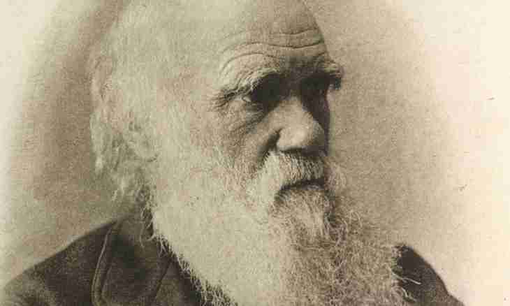 What is Darwin theory