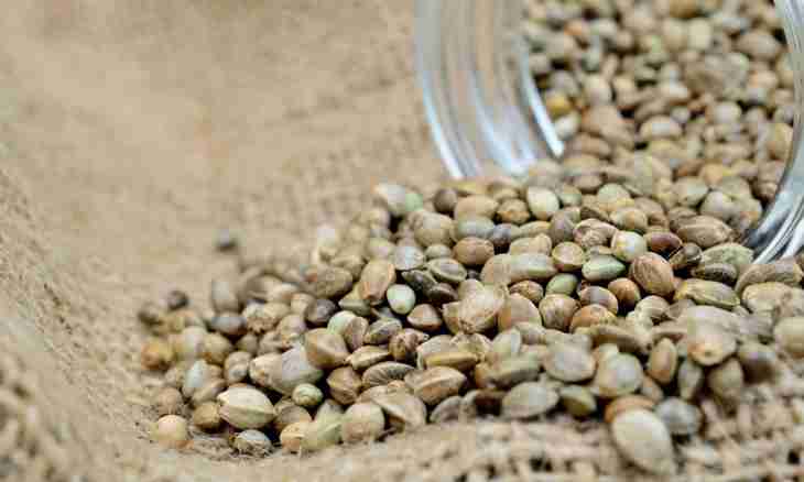 How to stratify seeds