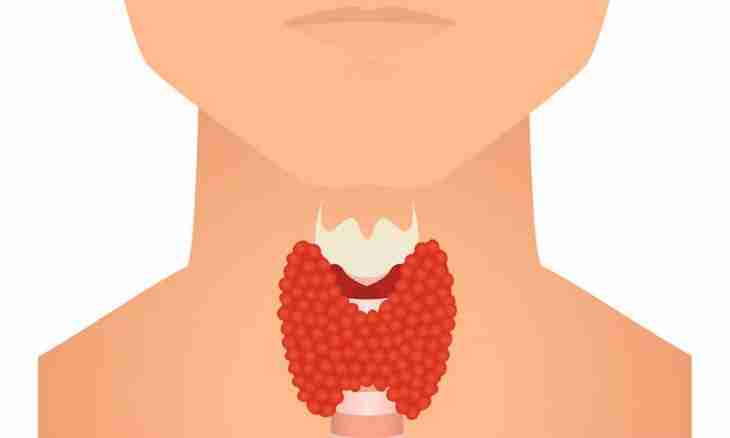 What is developed by a thyroid gland