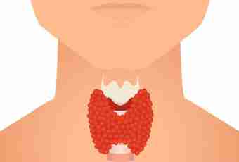 What is developed by a thyroid gland