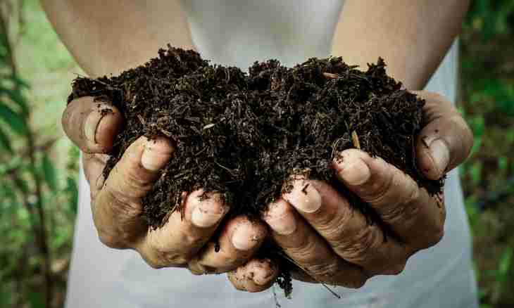What is soil