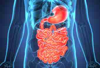 What is digestive system of the person