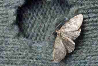 How to find quantity of molecules in moths
