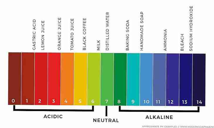 What are alkaline metals