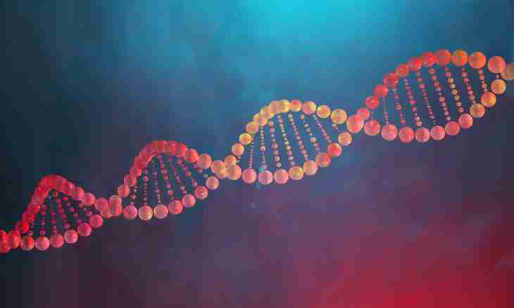 What is allelic genes