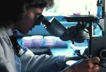 Who invented a microscope