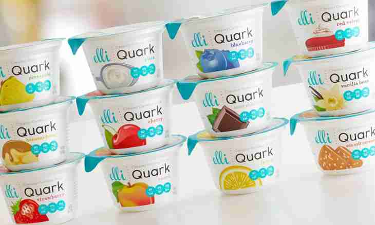 What is a quark