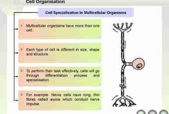 Organismal levels of the organization of life