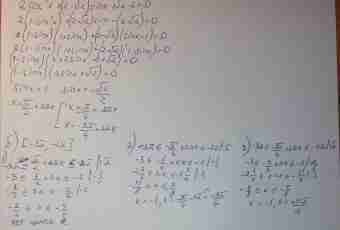 What is an equation root