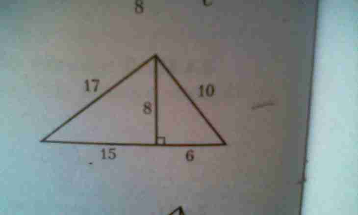 How to find the area of a triangle if three parties are known