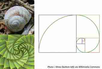 Fibonacci's sequence and principles of Golden ratio