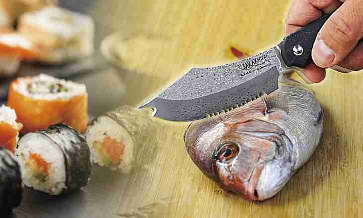 What fish knife is interesting by