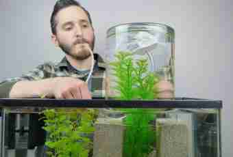 How to change water in a small aquarium