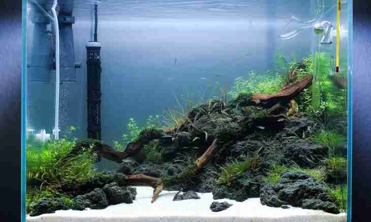What soil to use for an aquarium