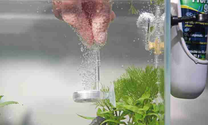 How to wash soil in an aquarium