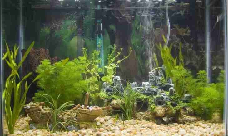How to fill an aquarium