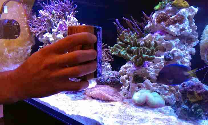 How to repair an aquarium